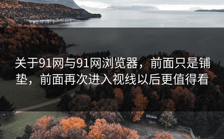 关于91网与91网浏览器,前面只是铺垫,前面再次进入视线以后更值得看 关于91网与91网浏览器,前面只是铺垫,前面再次进入视线以后更值得看
